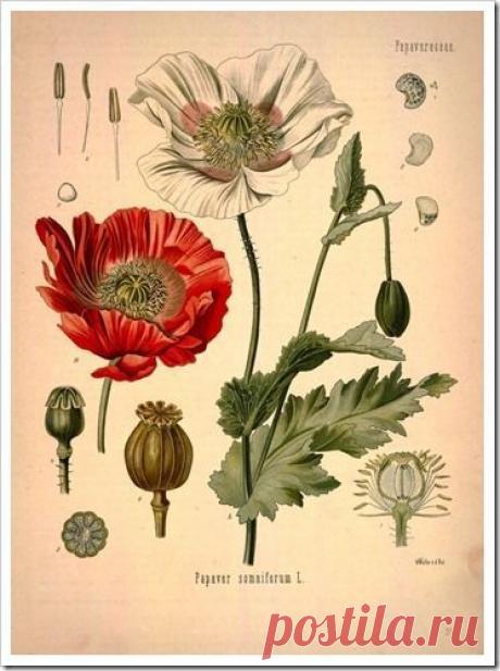 Найдено на сайте thoughtfuldesigns.blogspot.com.