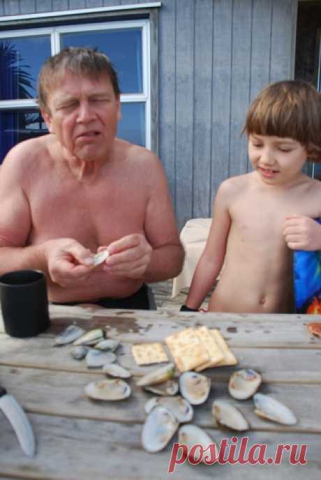 Здесь очень вкусные мидии / Золото Новой Зеландии (дневник поездки, январь 2010) / Золотодобыча - Добыча золота: оборудование, технологии, предприятия, объявления, статьи, комментарии