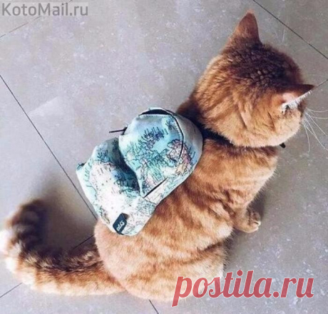 Большой любитель путешествовать