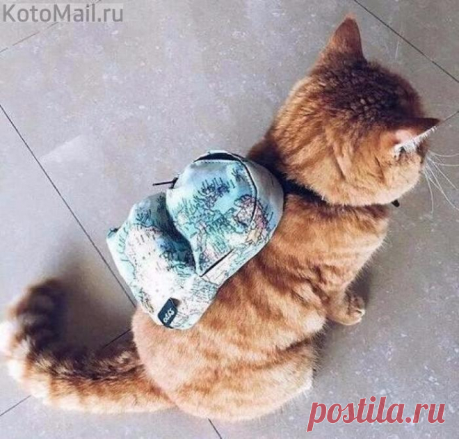 Большой любитель путешествовать