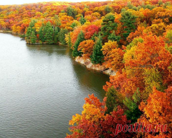 76799396_large_a05.jpg (700×560)