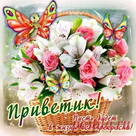 Открытки Приветом бесплатно  Виртуальные открытки