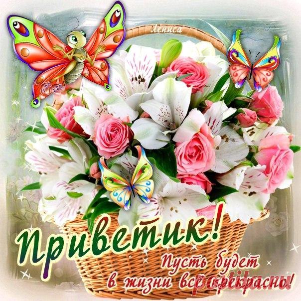 Открытки Приветом бесплатно  Виртуальные открытки