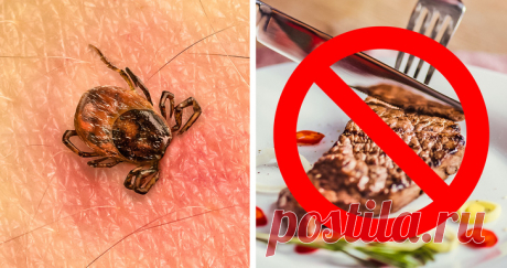 Непредсказуемые побочные эффекты, которые могут возникнуть после укусов животных 
Всем известно, что укус клеща опасен энцефалитом, укус малярийного комара — малярией, а шершня — сильнейшей аллергией. Но не все знают, что, к примеру, так же опасны верблюды и утконосы, чьи нападени…