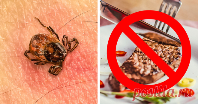 Непредсказуемые побочные эффекты, которые могут возникнуть после укусов животных 
Всем известно, что укус клеща опасен энцефалитом, укус малярийного комара — малярией, а шершня — сильнейшей аллергией. Но не все знают, что, к примеру, так же опасны верблюды и утконосы, чьи нападени…