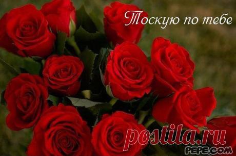Плэйкасты,музыкальные открытки и музыка
Людмила Гришаева
