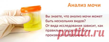 ОБЩИЙ АНАЛИЗ МОЧИ: о чём он может рассказать и как его нужно сдавать.