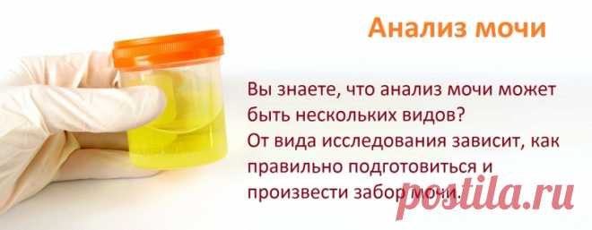 ОБЩИЙ АНАЛИЗ МОЧИ: о чём он может рассказать и как его нужно сдавать.