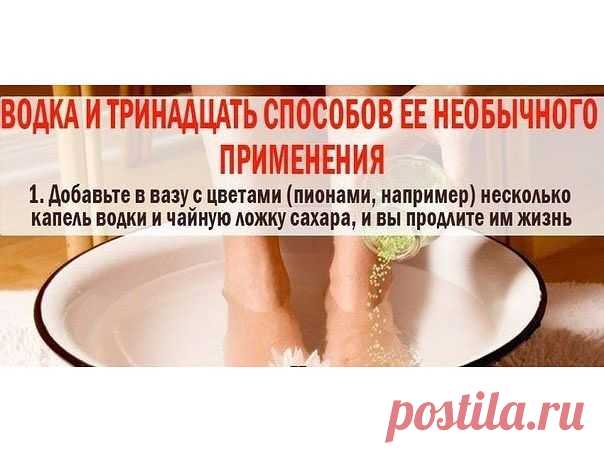 (17) Одноклассники