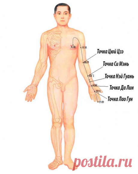 Как предупредить проблемы с сосудами головного мозга и сердца