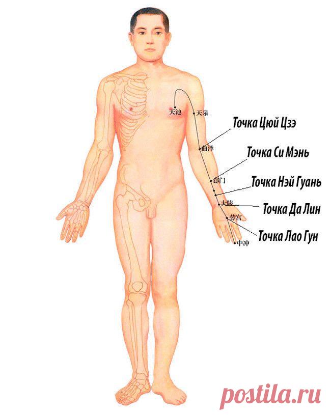 Как предупредить проблемы с сосудами головного мозга и сердца