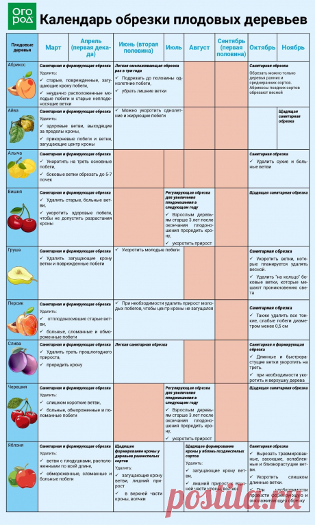 Важные шпаргалки для садоводов-огородников - инфографика - часть 2