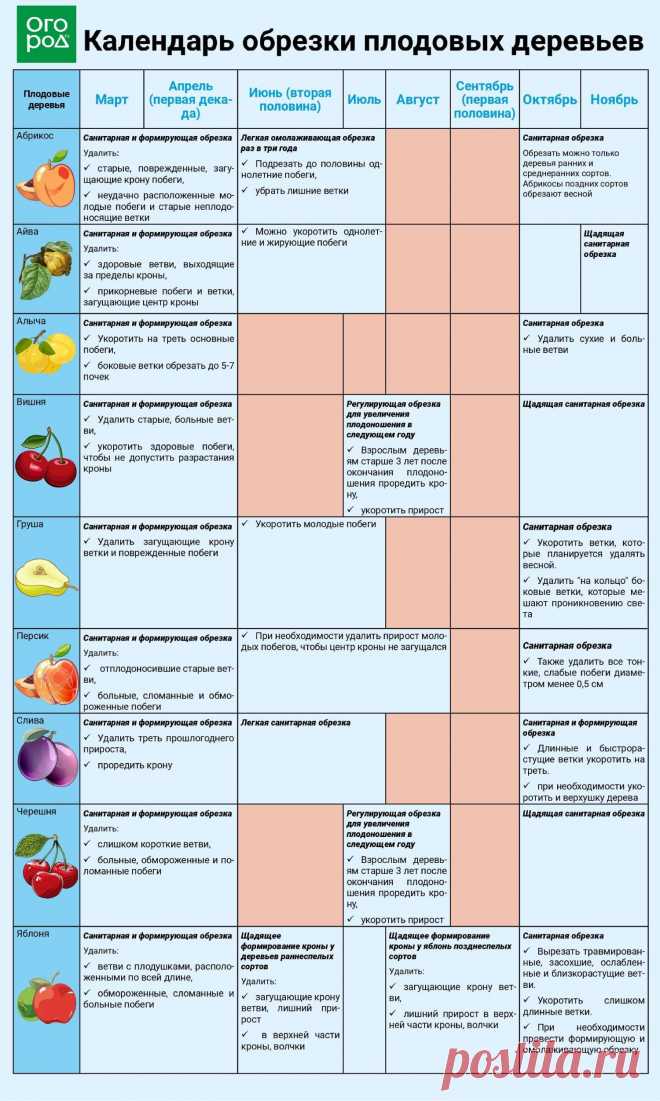 Важные шпаргалки для садоводов-огородников - инфографика - часть 2