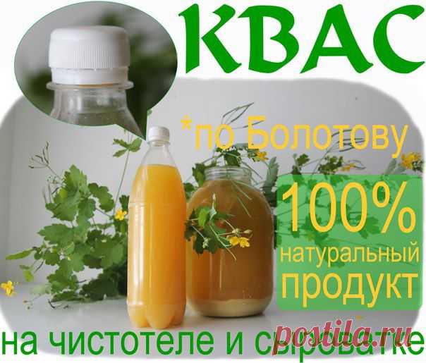 сообщение ИНТЕРЕСНЫЙ_БЛОГ_ЛесякаРу : Очищающий квас Болотова с чистотелом (15:58 03-03-2014) [3925073/315627534] - ulchik3333@mail.ru - Почта Mail.Ru
