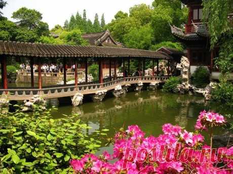 Светлана Максимова | ВКонтакте