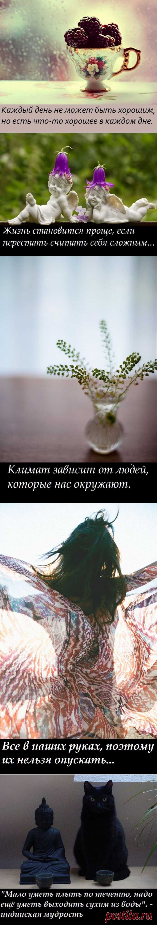 Мысли образы ( 3 часть)