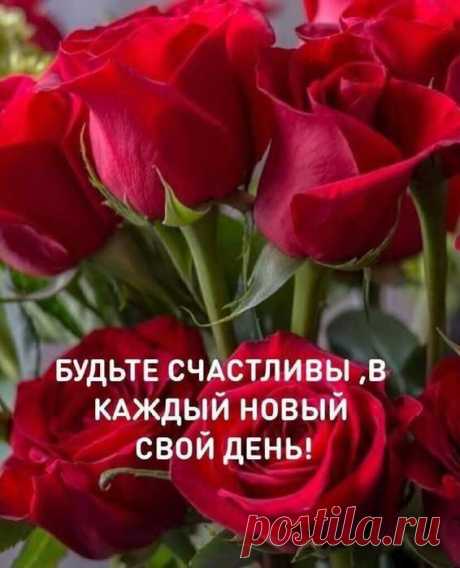 Мысли вслух..╭●◥◣