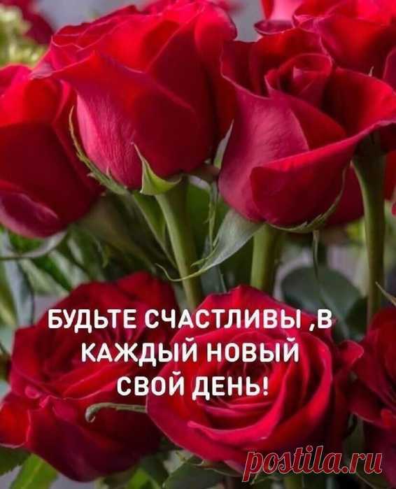 Мысли вслух..╭●◥◣