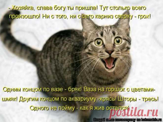 Одного не пойму...