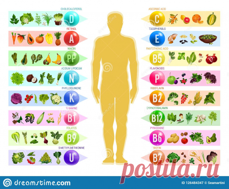 Название: Еда Vegan с витаминами питание Иллюстрация вектора - иллюстрации насчитывающей vegan, витаминами: 126484347 Найдено в Google. Источник: ru.dreamstime.com