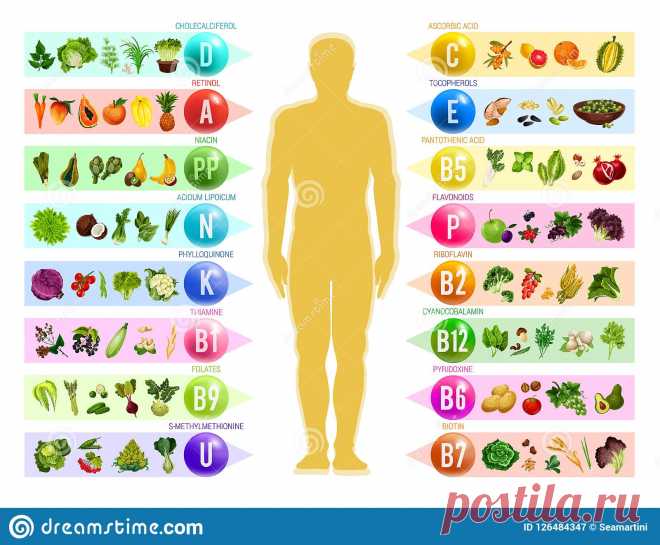 Название: Еда Vegan с витаминами питание Иллюстрация вектора - иллюстрации  насчитывающей vegan, витаминами: 126484347 Найдено в Google. Источник: ru.dreamstime.com