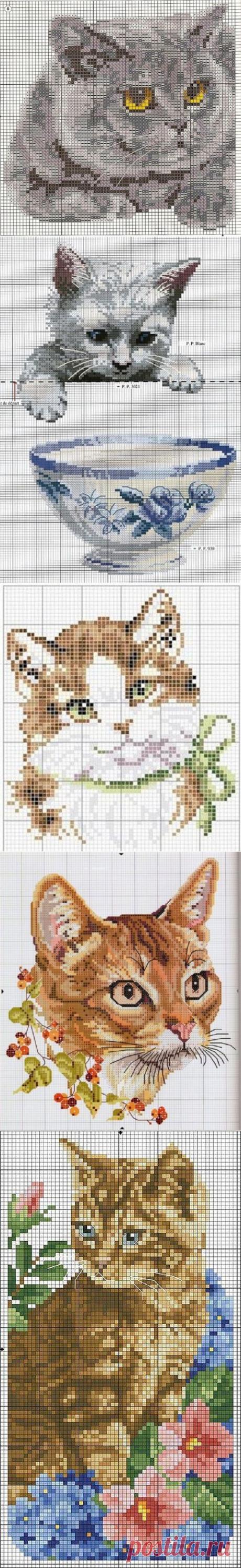 Котики ... 14 схем для вышивки крестом (+24 дополнительные)