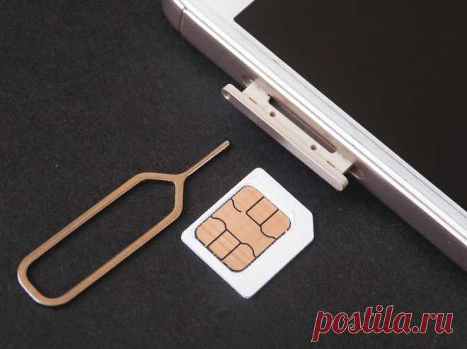 Почему и как часто необхоимо менять SIM-карту в смартфоне / Смартфоны и мобильные телефоны / iXBT Live