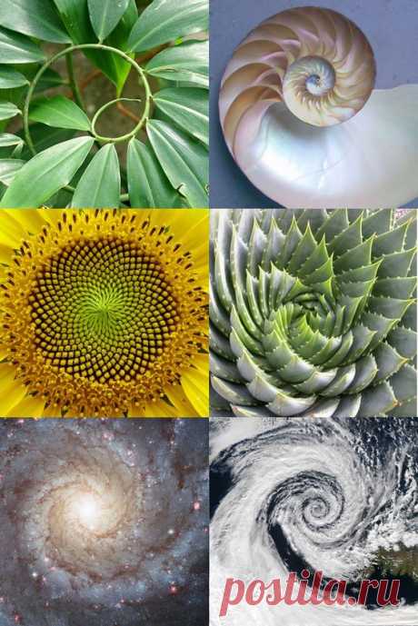 Pinterest: инструмент для поиска и хранения интересных идей