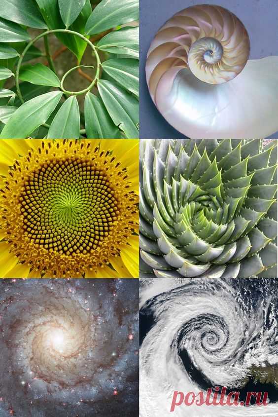 Pinterest: инструмент для поиска и хранения интересных идей