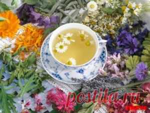 Травяной чай из сада и леса. ЧАЙ БЕРЕНДЕЯ