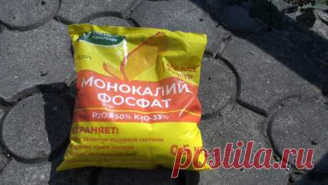 Весенняя подкормка винограда - секрет будущего урожая | Ленивый огород | Яндекс Дзен