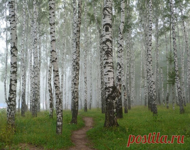 х
