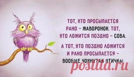 Интересные новости