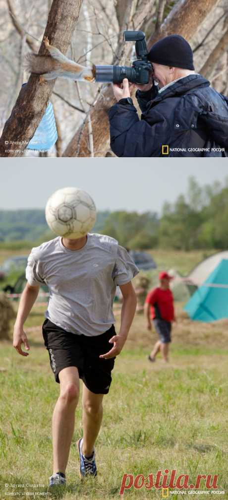 Победитель и финалисты | National Geographic Россия