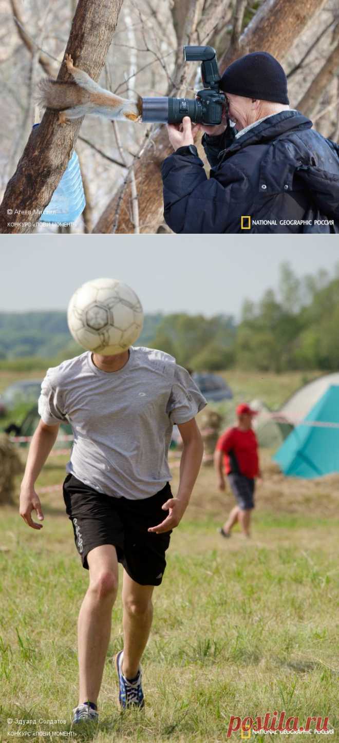 Победитель и финалисты | National Geographic Россия