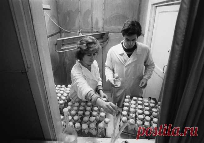 Таинственный круцин: куда исчезла магическая формула лекарства от рака