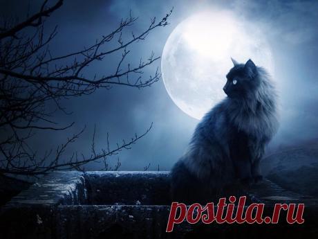 607e36e78c1ea59e373f29f9d69590a9.jpg (1024×768)