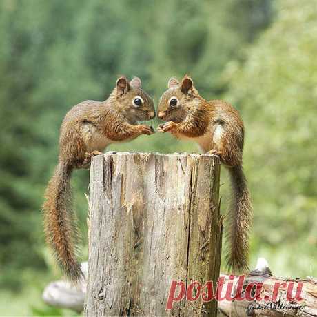 Кликабол. Всё самое интересное - здесь