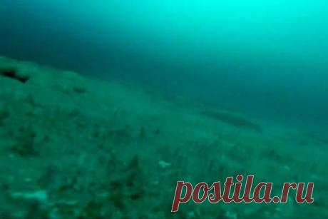 В озере в Антарктиде обнаружена уникальная экосистема со странными микробами Живая капсула времени, замороженная в глубинах озера Энигма в Антарктиде, содержит уникальную экосистему, которая оказалась изолированной от остального мира с тех пор, как ее поверхность навсегда замерзла.Теперь ученые извлекли образцы уникальных микробов, которые выжили в огромной камере...