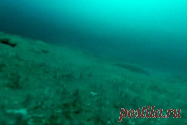 В озере в Антарктиде обнаружена уникальная экосистема со странными микробами Живая капсула времени, замороженная в глубинах озера Энигма в Антарктиде, содержит уникальную экосистему, которая оказалась изолированной от остального мира с тех пор, как ее поверхность навсегда замерзла.Теперь ученые извлекли образцы уникальных микробов, которые выжили в огромной камере...