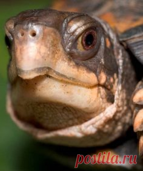 (551) Pinterest