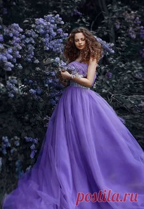 (49) Pinterest