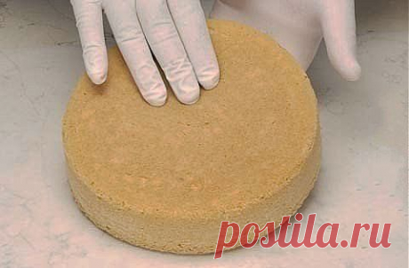 Как приготовить бисквит (основные рецепты).