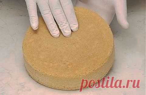 Как приготовить бисквит (основные рецепты).