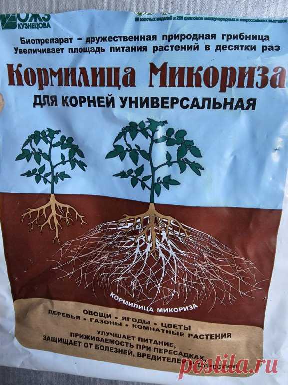 ОГОРОДНЫЕ ЗАМЕТКИ

Речь о питании томатов.
Питание - это , кстати, ВТОРОЙ важнейший момент, на котором мы можем потерять урожай. А первый - это рассадный грунт,  с которого обычно и начинаются проблемы в жизни растений ( мы же так любим добавлять в грунт всякие 