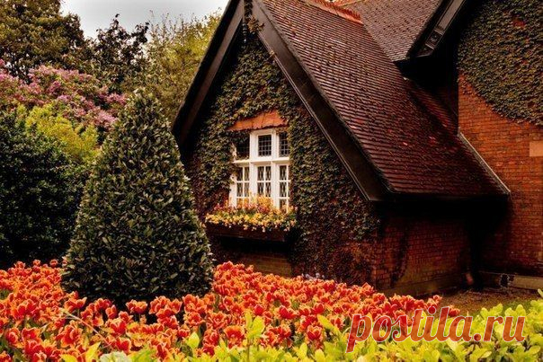 Домик в Дублине. Ирландия.

Мир необъятен! А мы сидим в своих коробочках и смотрим на него в замочную скважину. Не пора ли открыть двери?