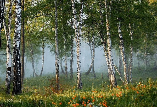 Р.
9 самых приятных звуков для человека

Звуки, которые мы слышим, очень влияют на наше психологическое состояние. Так, настроение на целый день может изменить звук длительностью в несколько секунд. Некоторые звуки обладают особой способностью вызывать у человека позитивные эмоции. Сегодня мы поведаем вам о девяти таких звуках.

1. Прибой
Умиротворенное настроение способны создать чарующие звуки, которые рождаются, когда морская волна накатывает на берег. Именно поэтому люди так любят вече
