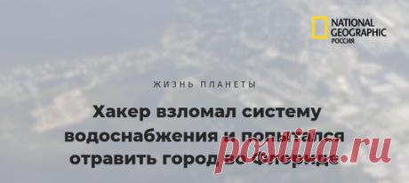 В городке Олдсмар произошла попытка беспрецедентного преступления: хакер удалённо взломал систему местной водоочистной станции и увеличил концентрацию разъедающей кожу щёлочи в 100 раз. Не такого киберпанка нам хотелось.
