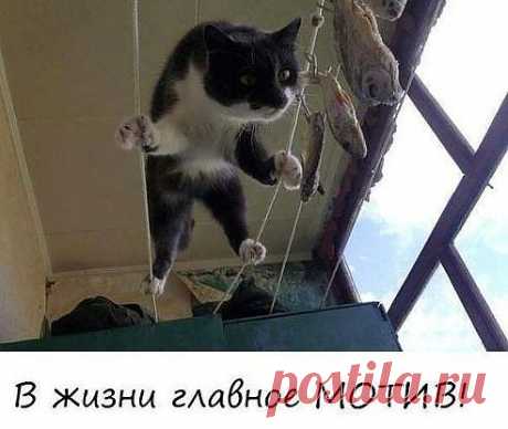 (99) Одноклассники