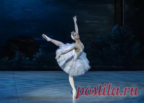 Яндекс Картинки: поиск похожих изображений